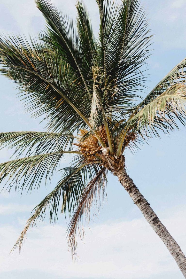 How to adjust the post/page layout